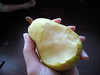 The first pear of the season